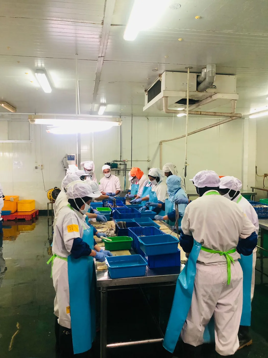 Staff sorting and packing seafood at the facility