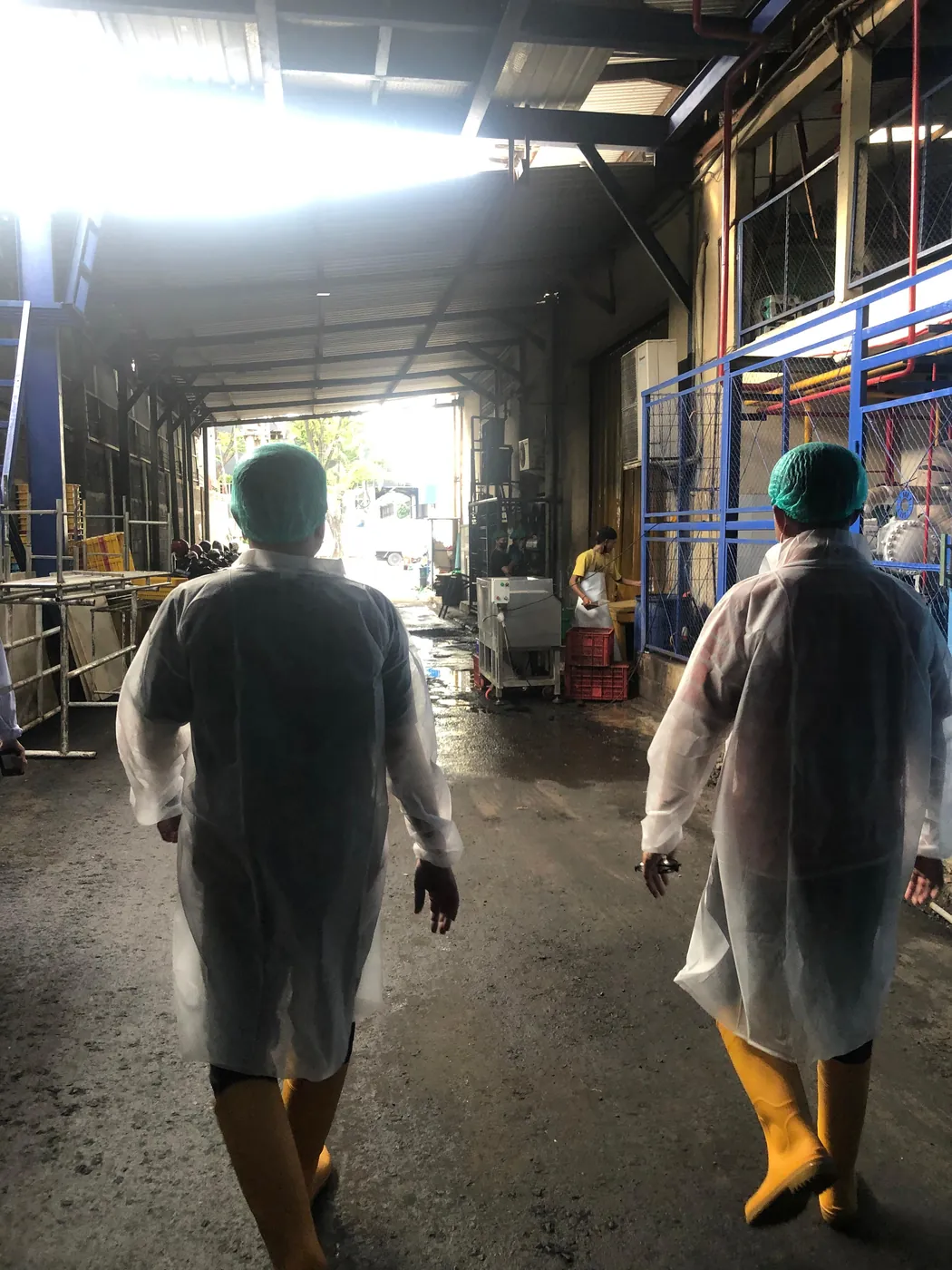Staff entering the processing facility